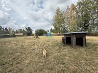 POZEMEK 952 m² ve FRANTIŠKOVÝCH LÁZNÍCH – ŽÍROVICE na prodej - Seníky (3)co.jpg