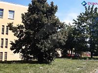 Prodej garážového stání, Praha 4 - Michle. - Foto 1