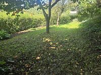 Prodej rodinného domu v Liberci – Starý Harcov - 20250807_111722_resized.jpg