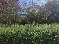 Prodej rodinného domu v Liberci – Starý Harcov - 20250807_111738_resized.jpg