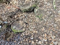 Chalupa s velkým pozemkem v srdci Jizerských hor – Janov nad Nisou - 20260311_134903.jpg