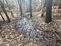 Chalupa s velkým pozemkem v srdci Jizerských hor – Janov nad Nisou - 20260311_134917.jpg