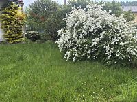 Prodej venkovského domu v Chuchelně - 20260521_091421.jpg