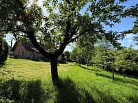 Prodej venkovského domu v Záhoří – Proseč - IMG_5358.jpg