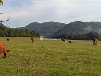 prodej družstevního bytu 2kk 35,5m2 Ústí nad Labem - Neštěmice Na Výšině sklep 1,7m2 - 26