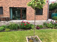 Prodej, rodinný dům, Mariánské Lázně, Hamrníky - 11