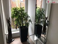 Prodej, rodinný dům, Mariánské Lázně, Hamrníky - 28