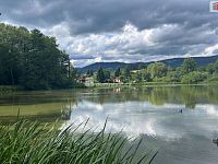 Prodej zahrady s chatkou v Ostrově, okr. Karlovy Vary