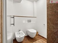 Dům s investiční příležitostí na pozemku 6.666 m2 v Krušných horách - 15