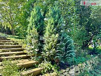 prodej srubové chaty, 50m2, s pozemkem 818m2, Slaný - 11