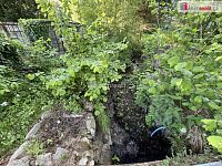 Zahrada Žandov, Chlumec 383 m2 - 14