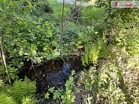 Zahrada Žandov, Chlumec 383 m2 - 7