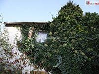 Pěkný domek s pozemkem a zahradou v klidné lokalitě Kbely u Prahy - 28