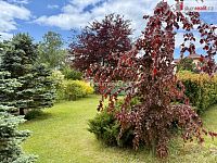 Prodej, rodinný dům, Sekerské Chalupy, Stará Voda. - 11