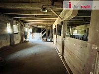 Pronájem haly 500 m2 a 270 m2 Budyně nad Ohří - 6