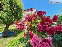 prodej rodinného domu 5+1 105m2 P4 Modřany Nad Soutokem zahrada 712m2 garáž 33m2 bazén - 25