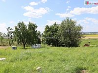 Vinné sklepy s posezením Horní Věstonice - 20