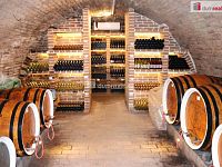 Vinné sklepy s posezením Horní Věstonice - 3