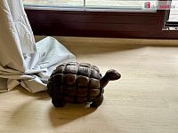 Prodej, mezonetový byt 4+kk, 136,1 m2, Residence Mon Plaisir, Mariánské Lázně - 28