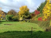 Stavební pozemek pro bydlení, 1981 m2