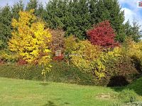 Stavební pozemek pro bydlení, 1981 m2 - 11