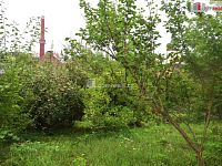 Zahrada 636m2, Dobrovice, Mladá Boleslav - 10