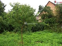 Zahrada 636m2, Dobrovice, Mladá Boleslav - 3