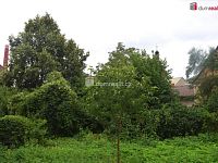 Zahrada 636m2, Dobrovice, Mladá Boleslav - 4