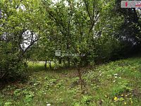 Zahrada 636m2, Dobrovice, Mladá Boleslav - 7