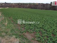 Prodej pozemku v Dolní Lhotě u Ostravy - 5