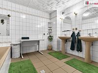 Prodej atypického rodinného domu v Dalovicích - Vysoké, okr. K. Vary - 30