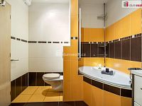 Prostorný byt 4+kk se zahradou v Přezleticích - 20