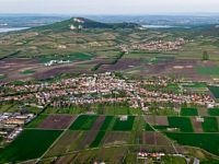 Prodej vinice v Dolních Dunajovicích, Zimní vrch - 4