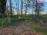 Prodej rodinného domu s pozemkem, Bravantice - 21