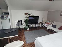 prodej impozantní vícegenerační vily z dob 1. republiky, Nedbalova ulice, Děčín II - Nové Město - 21