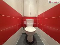 Pronájem slunného bytu 2+1 s balkonem v klidné části Bíliny - 7