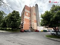 Pronájem slunného bytu 2+1 s balkonem v klidné části Bíliny - 9