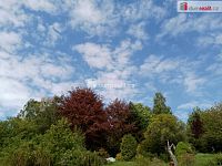 Prodej rodinného domu, 4+1, 166,3 m2, Branišov, Toužim - 21