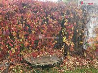 exkluzivní prodej samostatné části dvojdomu - Čimelice - 19