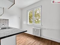 Byt 3+1 Ostrov, okr. Karlovy Vary - 15