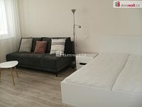 Pronájem bytu 1+1, 39 m2, Rožnov pod Radhoštěm - 4