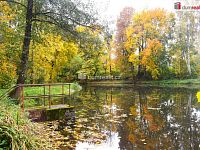 Stavební pozemek u rybnika, Beněšov, Bedrč