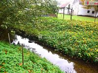 Stavební pozemek u rybnika, Beněšov, Bedrč - 10