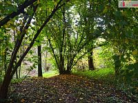 Stavební pozemek u rybnika, Beněšov, Bedrč - 6