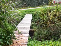 Stavební pozemek u rybnika, Beněšov, Bedrč - 8