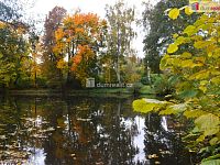 Stavební pozemek u rybnika, Beněšov, Bedrč - 9