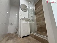 Pronájem bytu, 40 m2, Brandtova, Ústí nad Labem - 11