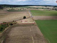 Prodej pozemku 3943 m2, Sýkořice - 4