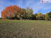 prodej pole a chmelnice Trnobrany