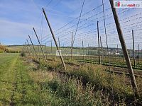 prodej pole a chmelnice Trnobrany - 2